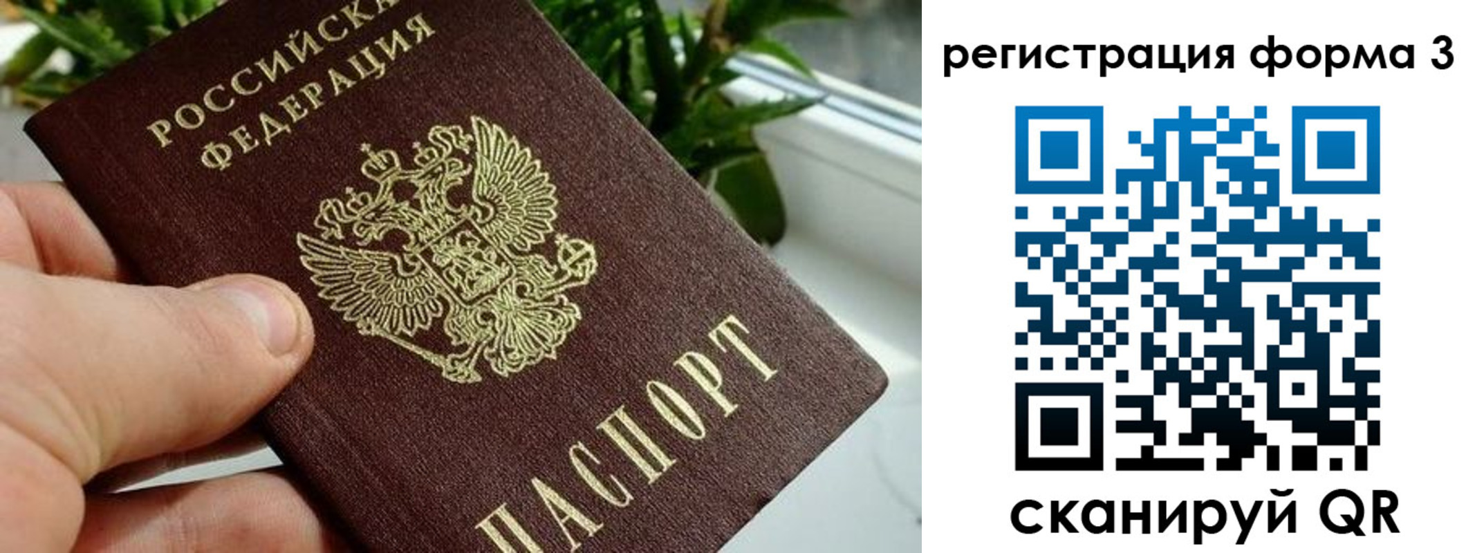 прописка штамп в Ростове